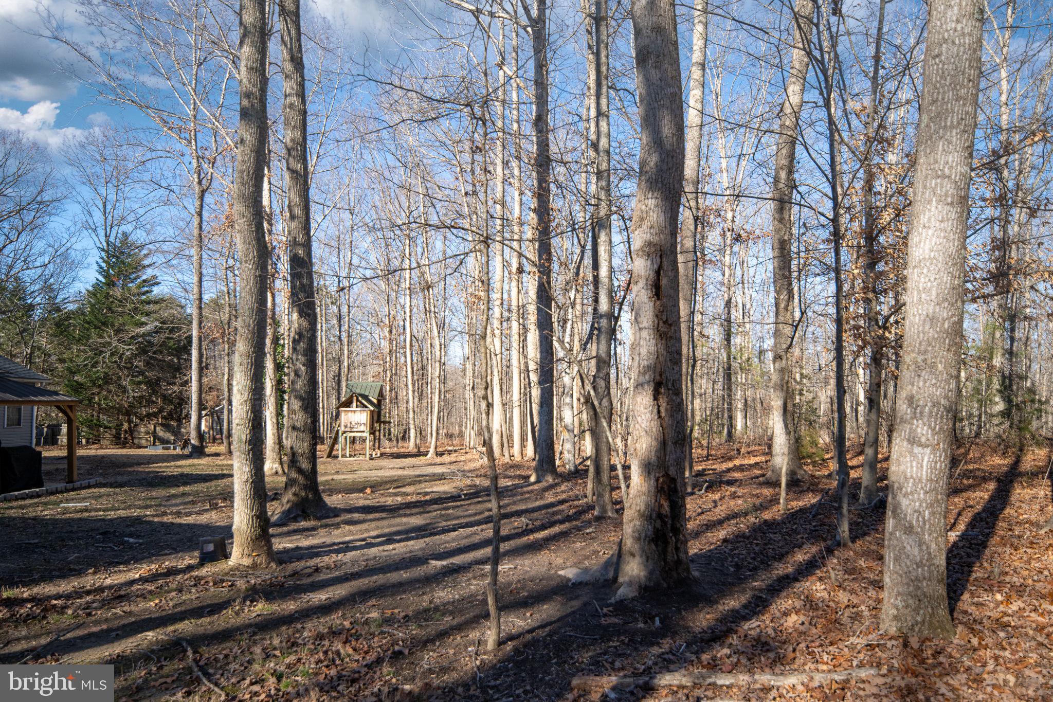435 Halls Store Road Mineral, VA 23117 - Photo 51 of 59 a view of a pathway of a house