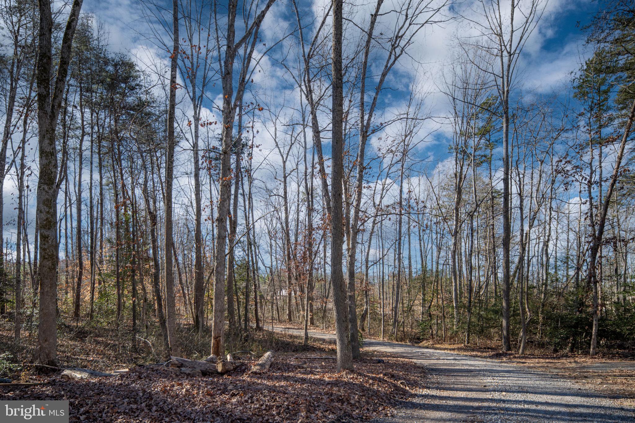 435 Halls Store Road Mineral, VA 23117 - Photo 59 of 59 a view of a yard with large trees