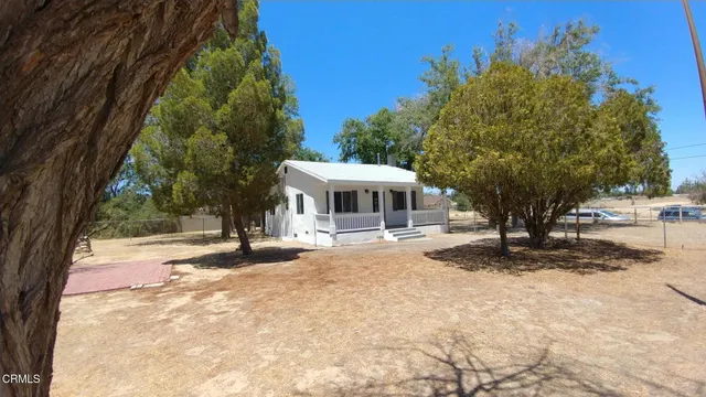 a large tree in the middle of a yard