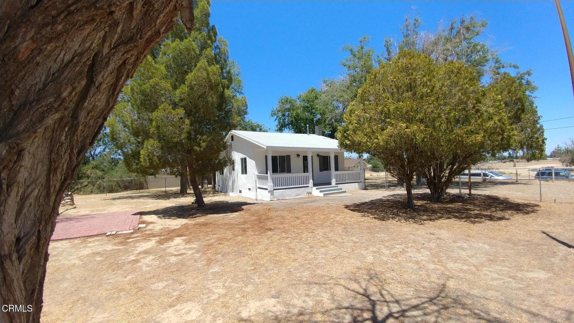 a large tree in the middle of a yard