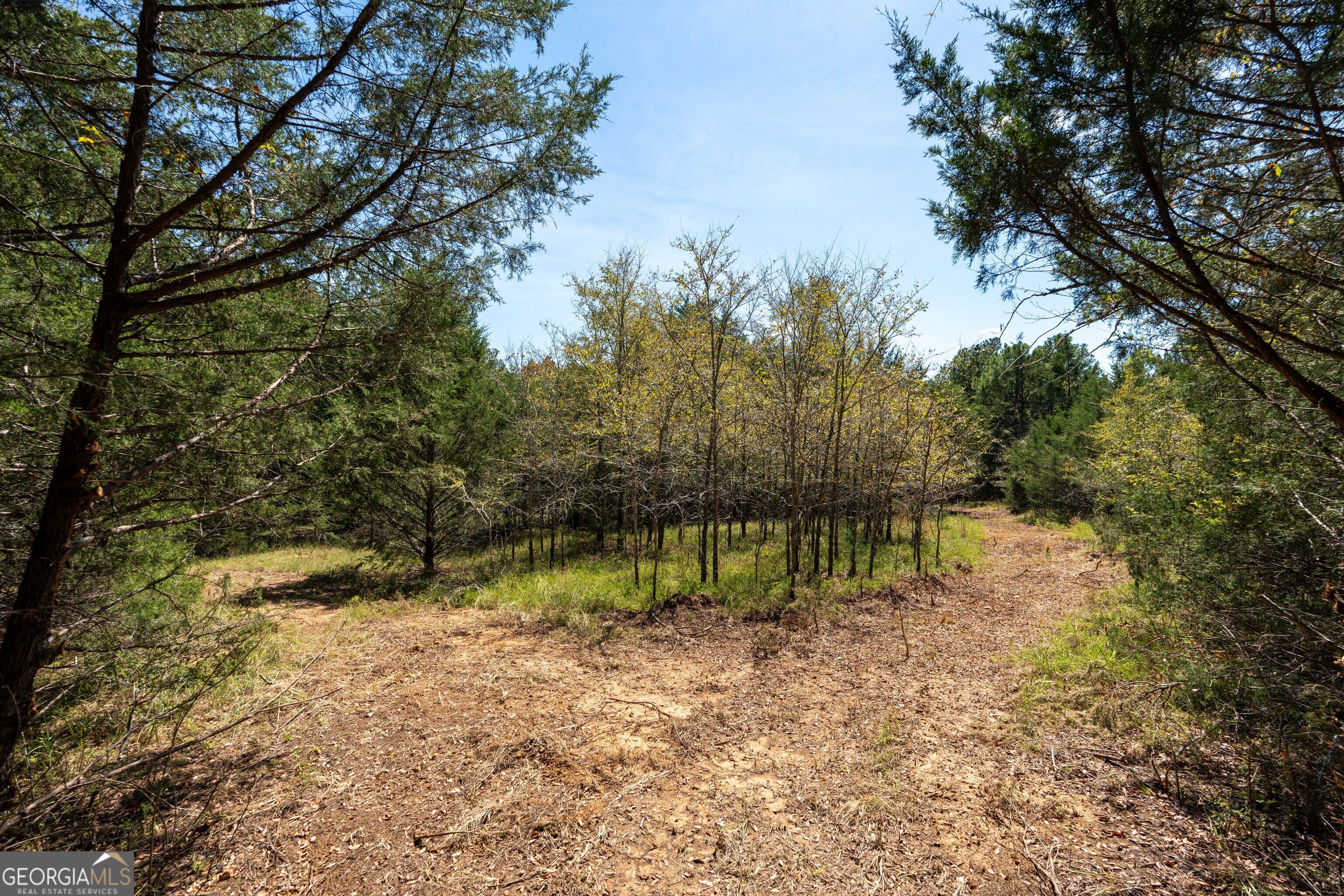1419 Bobby Brown State Park Road Elberton, GA 30635 - Photo 35 of 90 Gallery Image 35