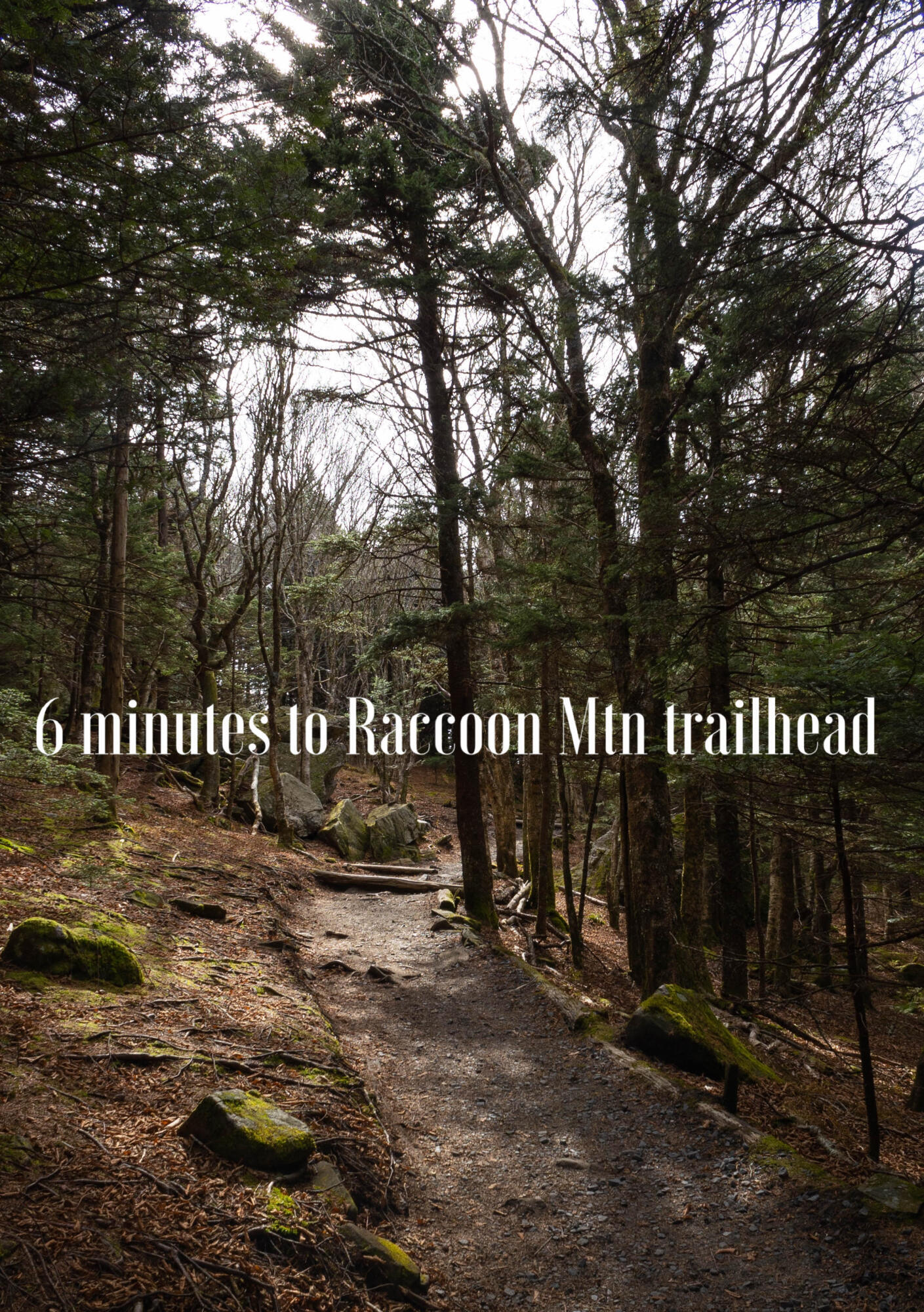 4140 Outpost Way Chattanooga, TN 37419 - Photo 41 of 43 6 min to Raccoon Mtn trailhead