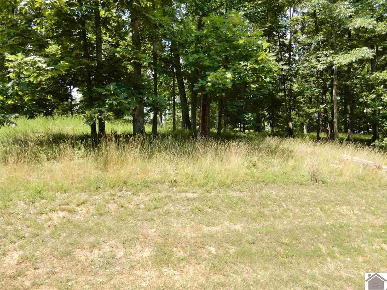 L-69 Bayview Drive Grand Rivers, KY 42045 - Photo 1 of 1 Photo 1