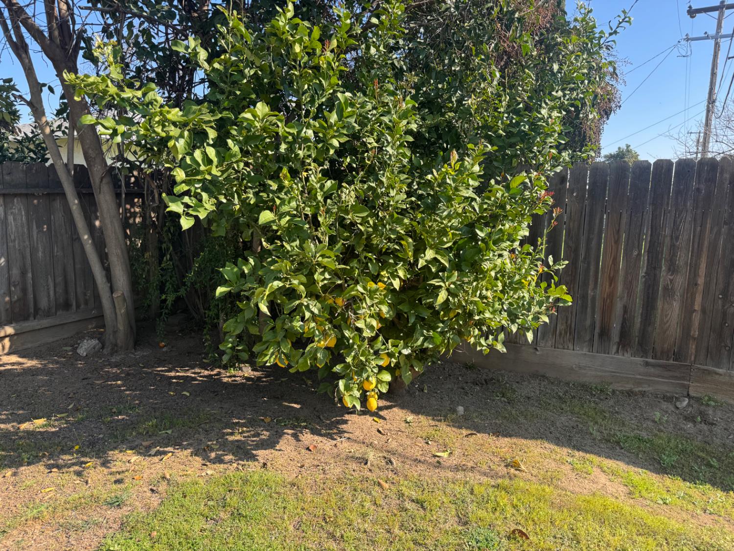 4656 North 5th Street Fresno, CA 93726 - Photo 22 of 22