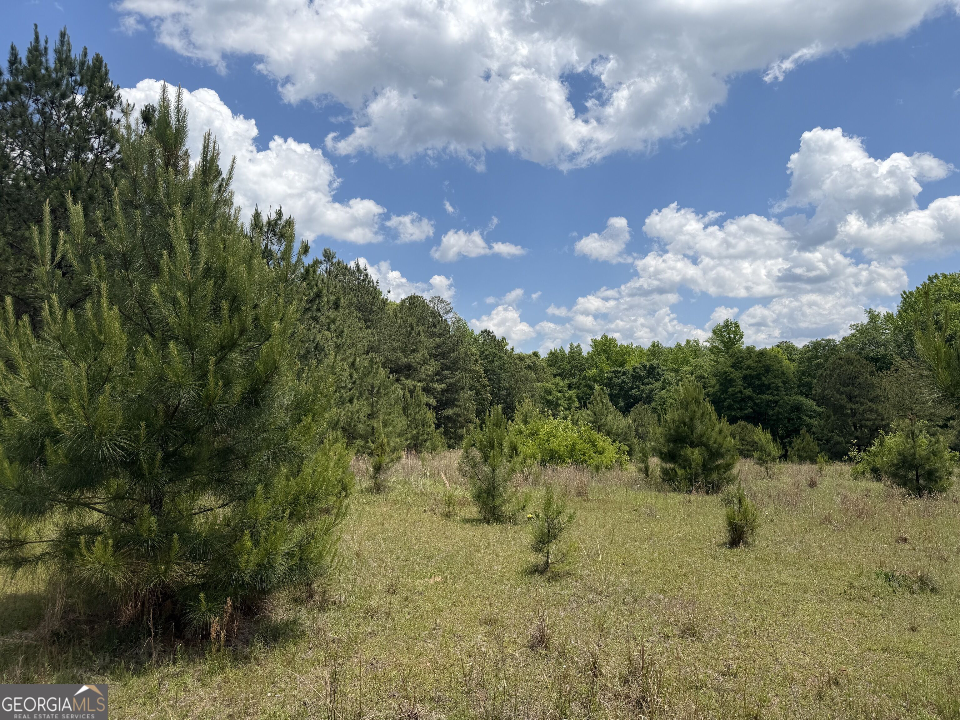 4 Little Sandy Creek Road Toomsboro, GA 31090 - Photo 3 of 7 Gallery Image 3