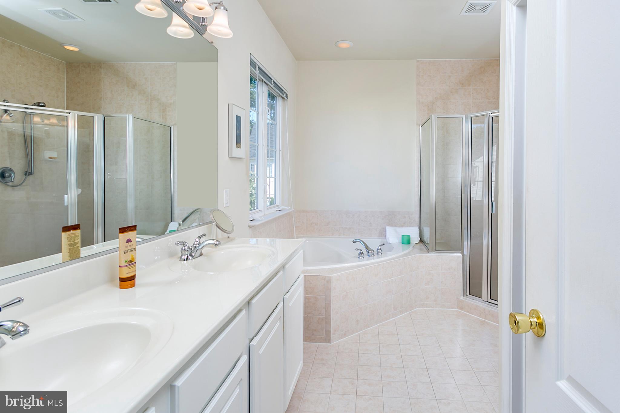25 Rivers Edge Terrace Indian Head, MD 20640 - Photo 17 of 30 Sumptuous tub and separate shower in the Master BA
