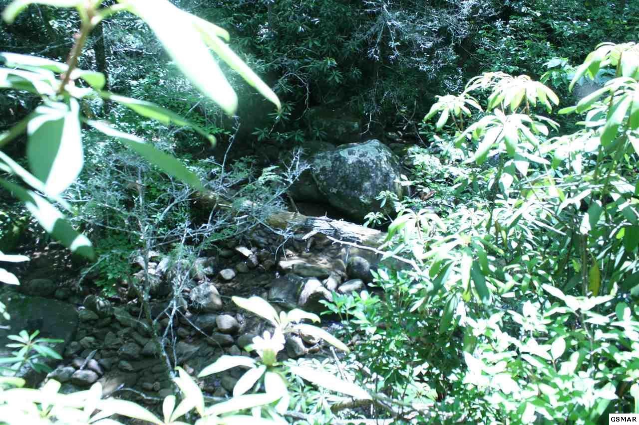 0 Bogard Crk Road Cosby, TN 37722 - Photo 14 of 30 Gallery Image 14
