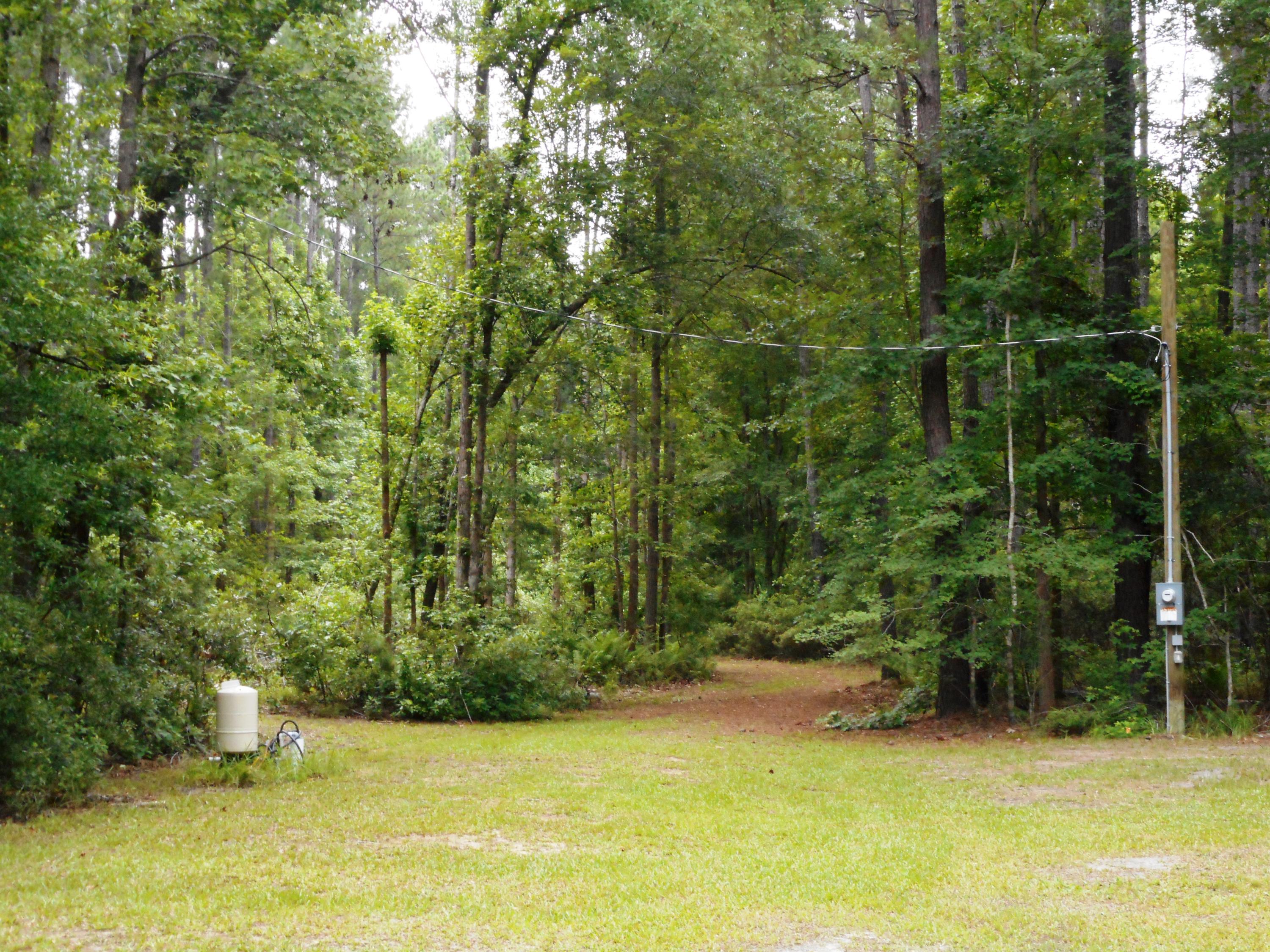2825 Cross Swamp Road Islandton, SC 29929 - Photo 5 of 9 DSCN1881