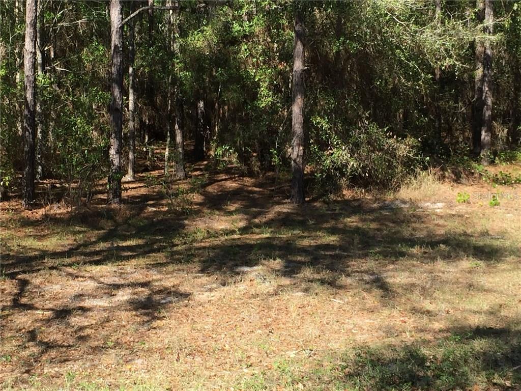 Meyers Road Lady Lake, FL 32159 - Photo 1 of 1 Gallery Image 1