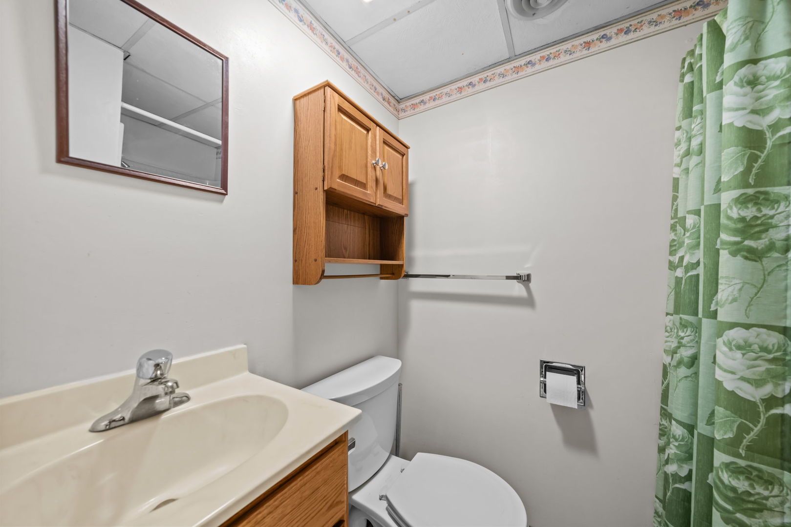 5748 South Skare Road Rochelle, IL 61068 - Photo 29 of 45 a bathroom with a sink mirror and toilet