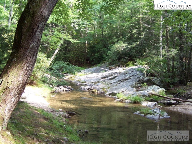 Bear Paw Road Deep Gap, NC 28618 - Photo 23 of 47 a view of a tree with a yard