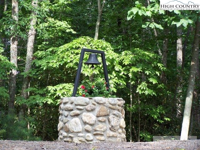 Bear Paw Road Deep Gap, NC 28618 - Photo 38 of 47 a plant that is in front of a building