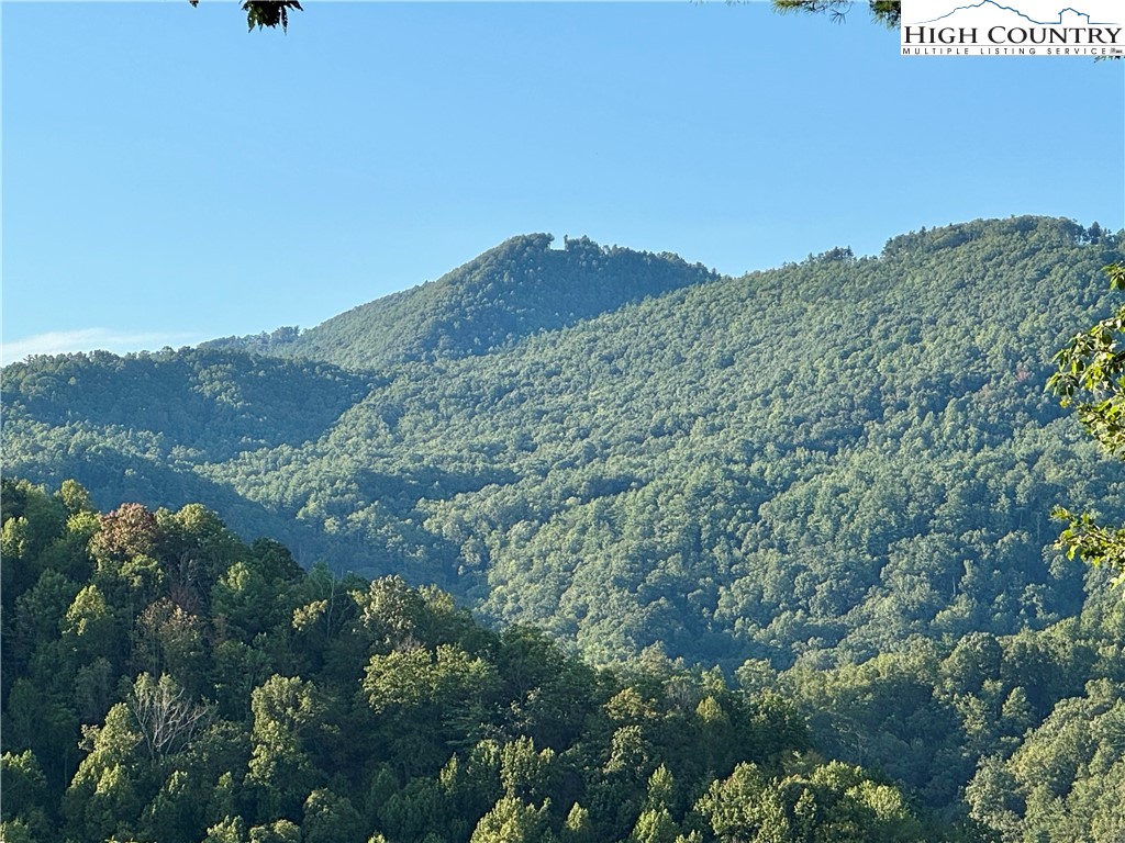 Bear Paw Road Deep Gap, NC 28618 - Photo 4 of 47 a view of a mountain range with trees in the background