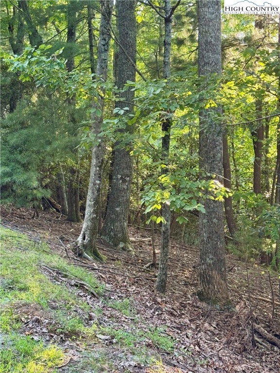 Bear Paw Road Deep Gap, NC 28618 - Photo 8 of 47 a view of a yard