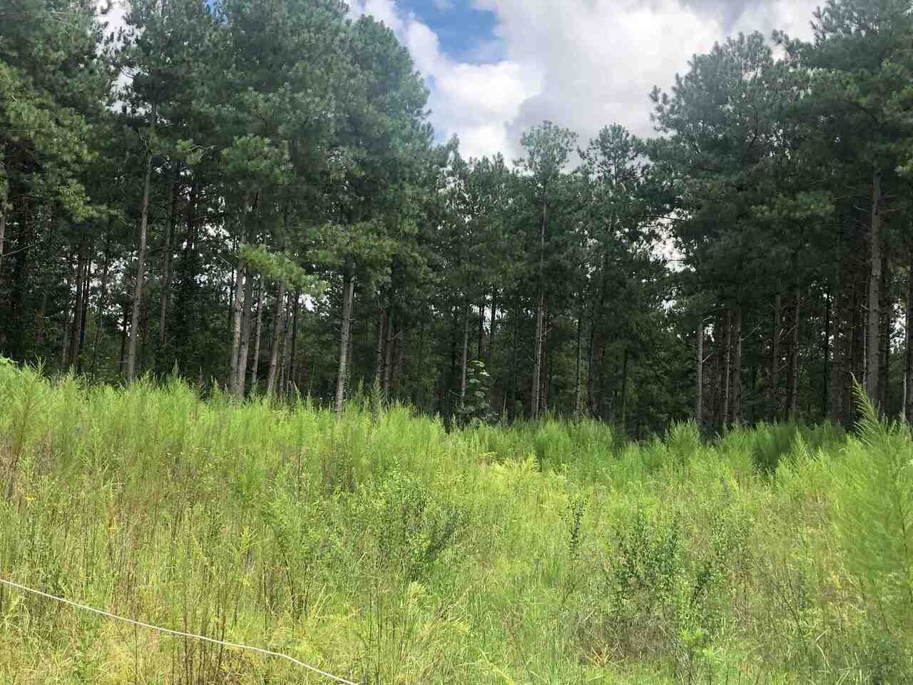 0 Highway 198 Carnesville, GA 30521 - Photo 1 of 1