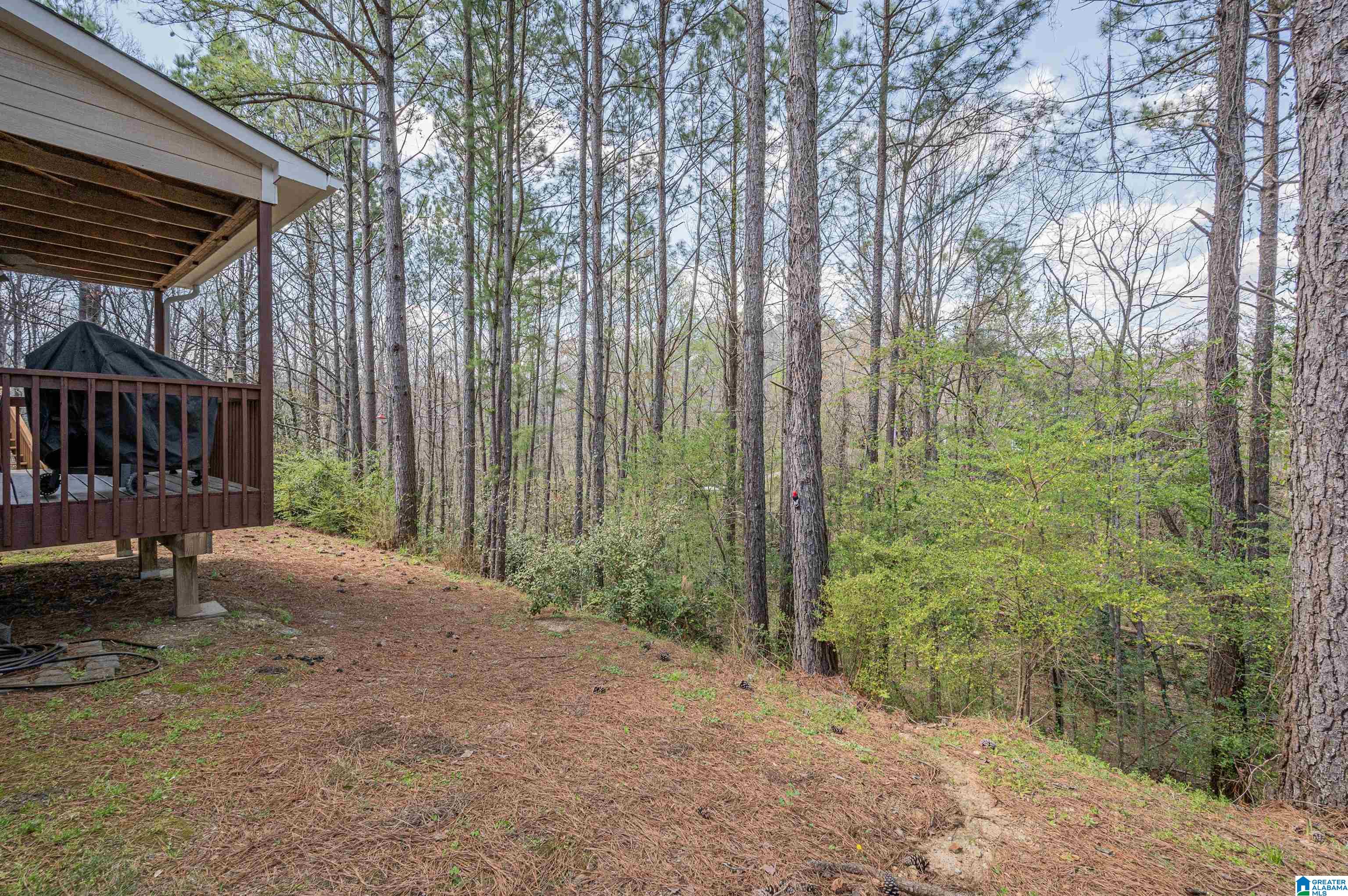 276 Warwick Lane Alabaster, AL 35007 - Photo 36 of 36