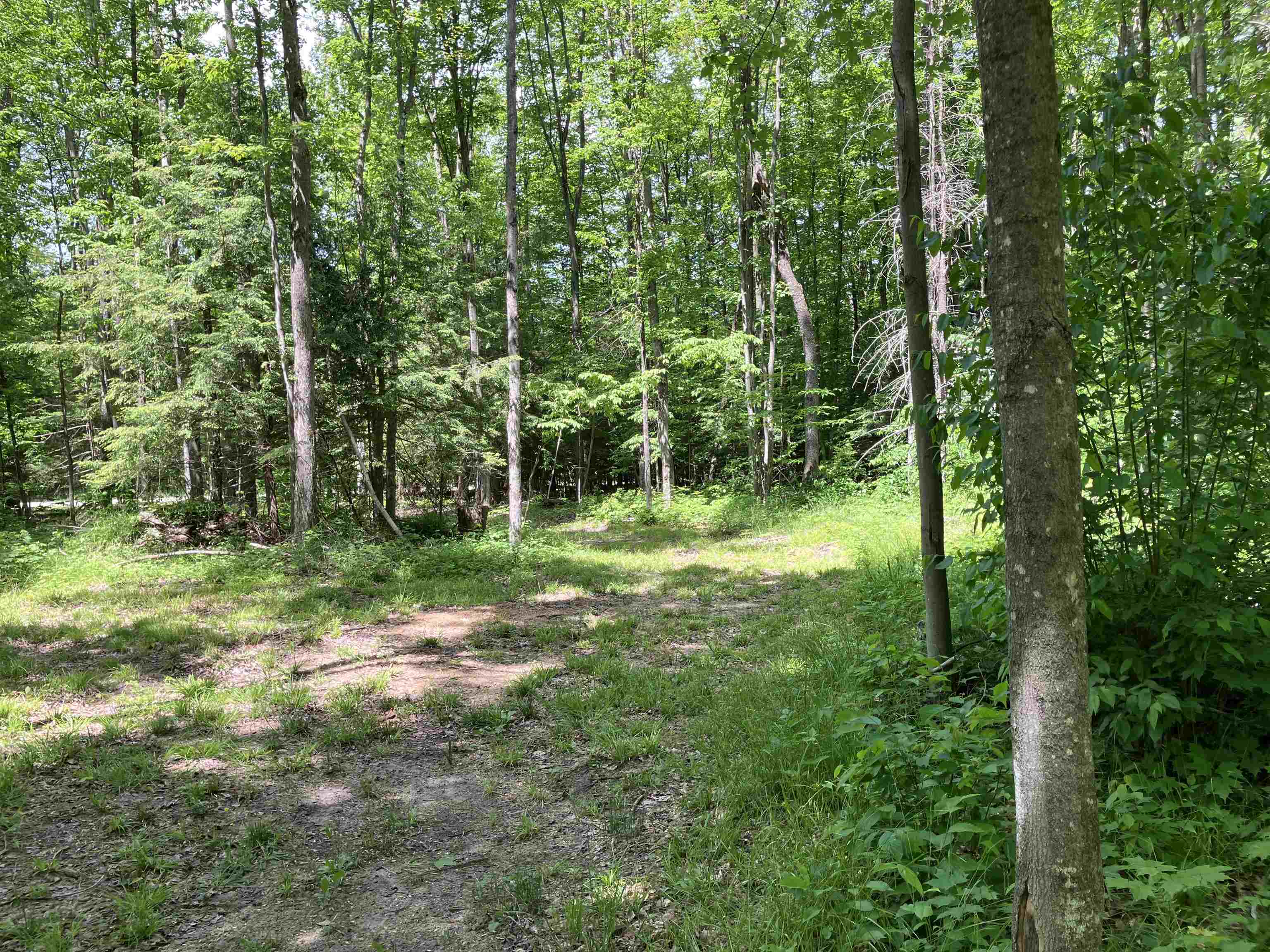 0 Cemetery Road Mancelona, MI 49659 - Photo 22 of 25