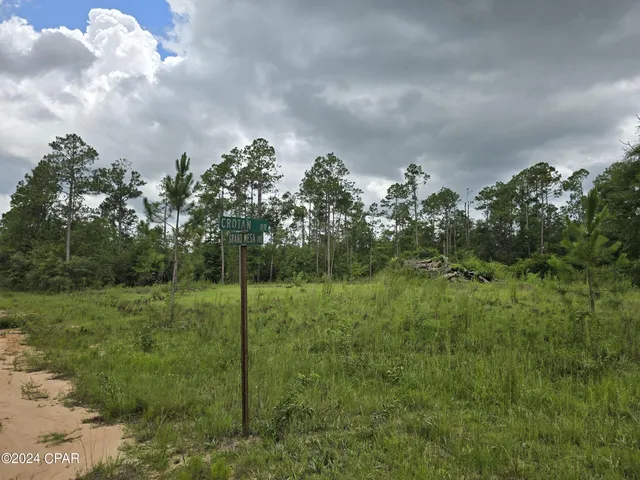 $14,000 | 0 Crotan Drive, Alford, FL 32420