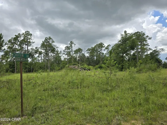 $14,000 | 0 Crotan Drive, Alford, FL 32420