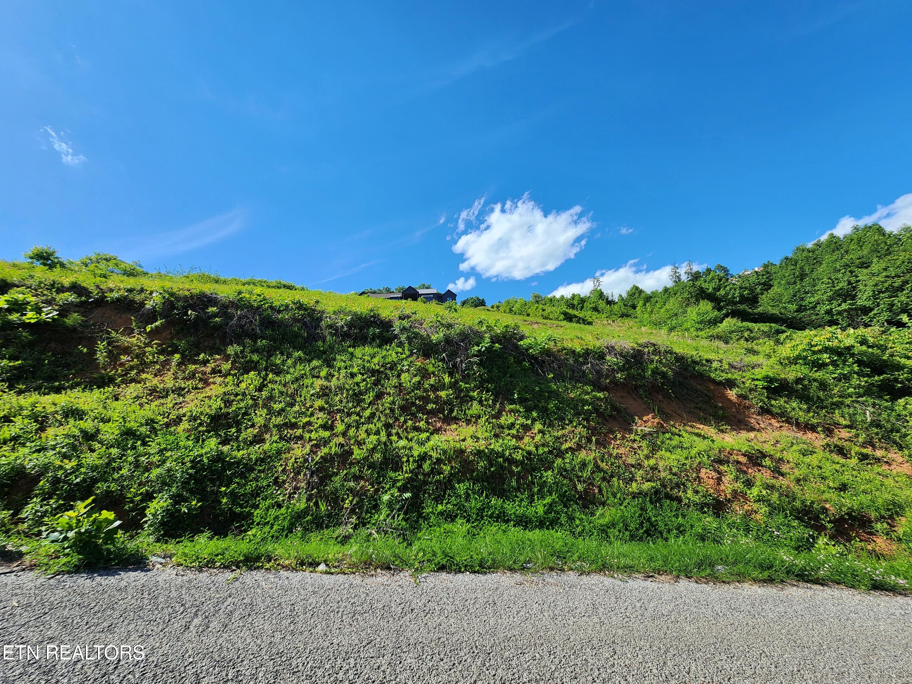Cameron Loop Lane La Follette, TN 37766 - Photo 5 of 10 1000038345