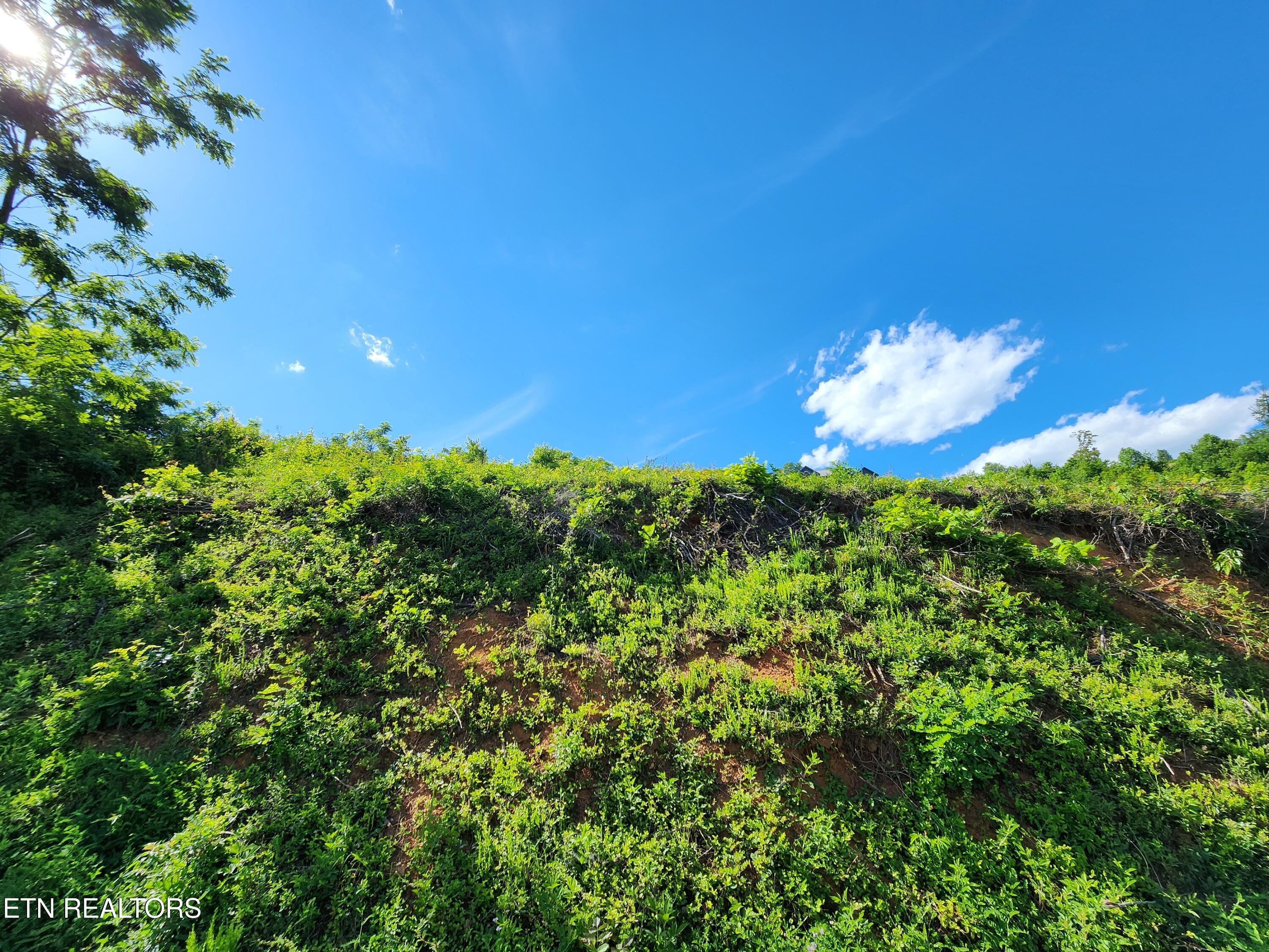 Cameron Loop Lane La Follette, TN 37766 - Photo 6 of 10 1000038346