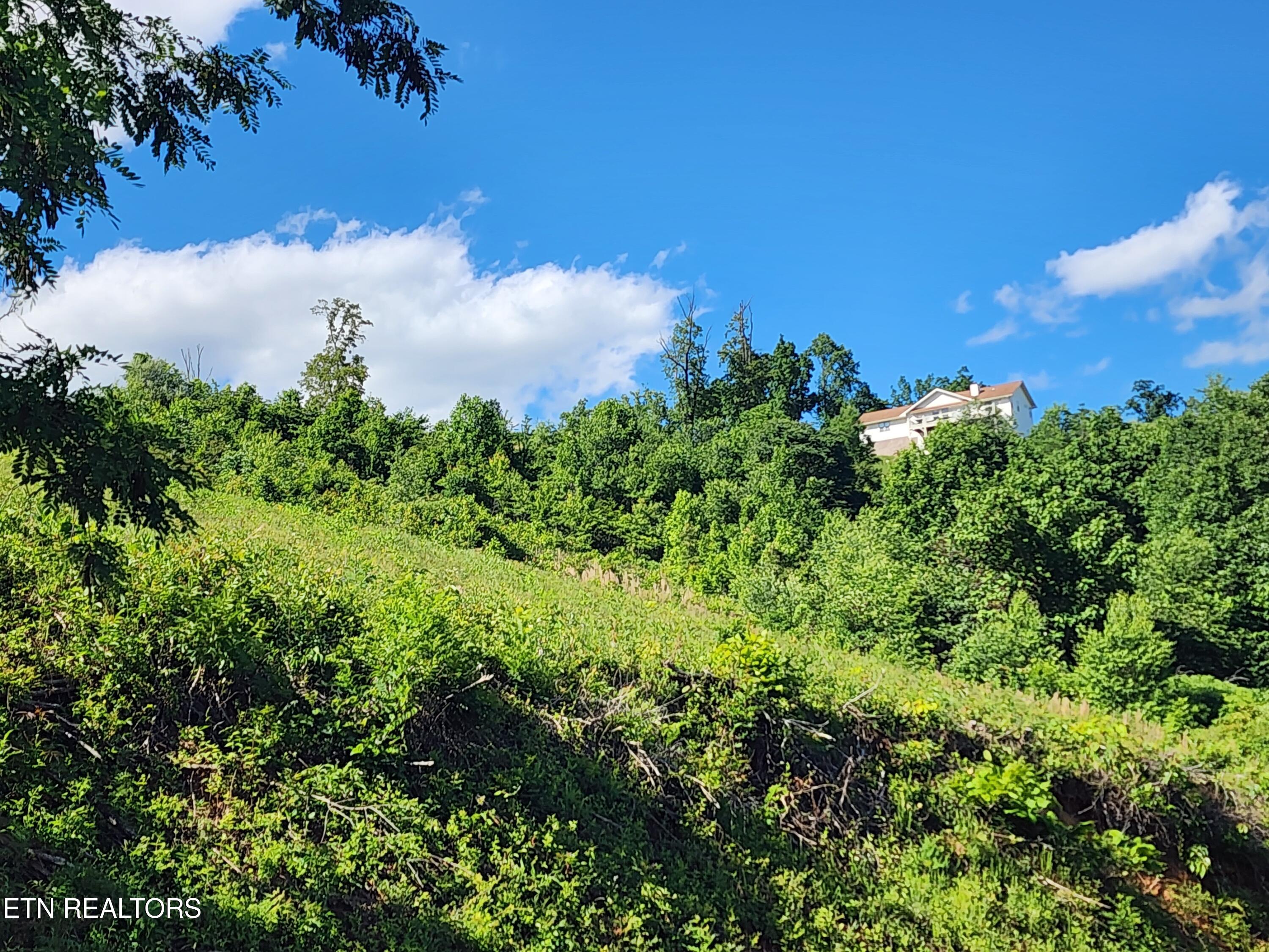 Cameron Loop Lane La Follette, TN 37766 - Photo 7 of 10 1000038347