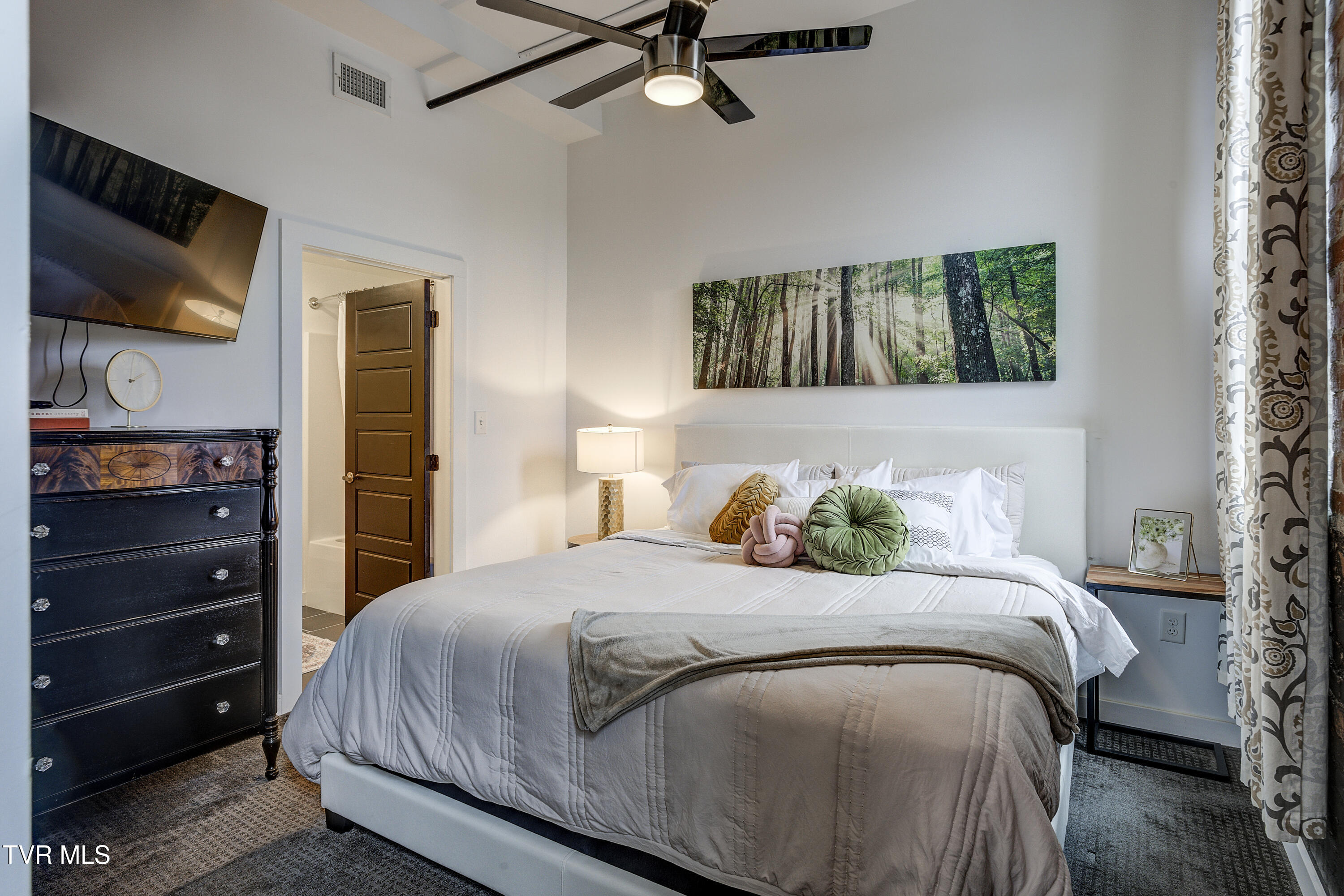 201 8th Street, Unit 203 Bristol, TN 37620 - Photo 14 of 31 Remington1-14