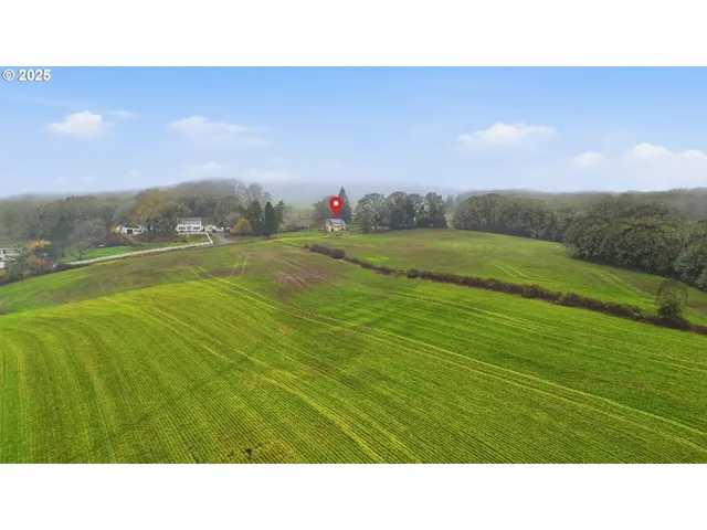 a black and white photo of a lake