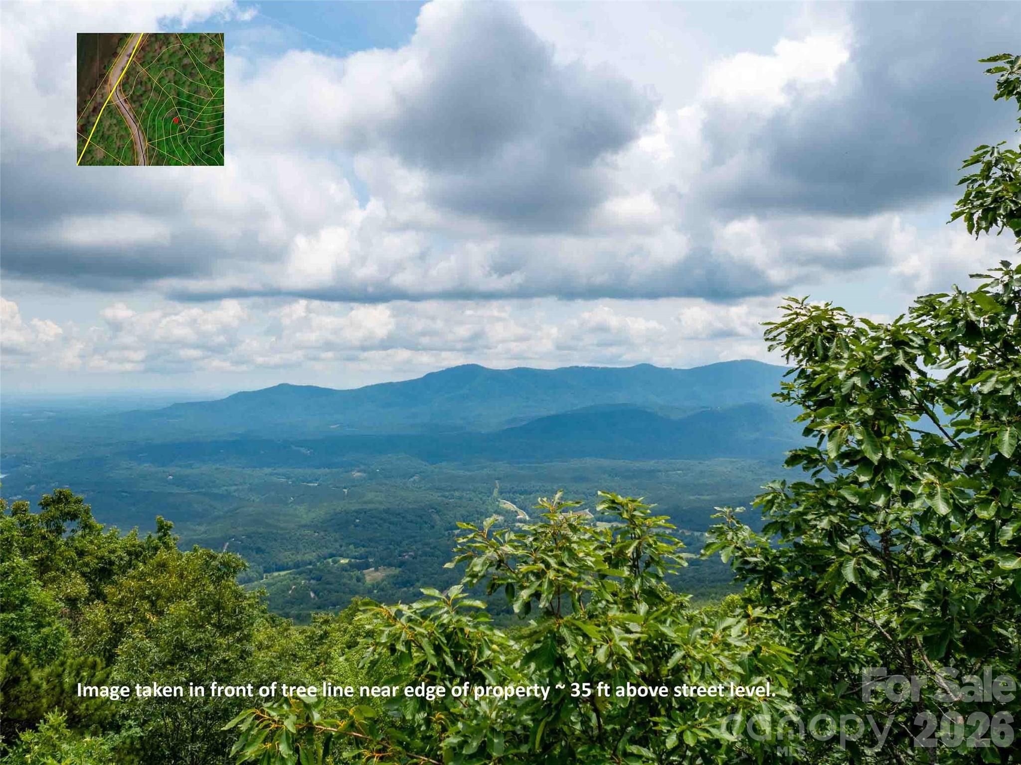 288 Eastman Place Mill Spring, NC 28756 - Photo 1 of 15 a view of a garden