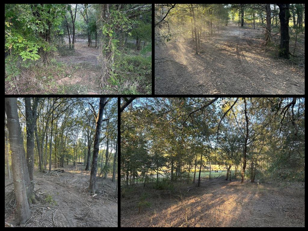 0 Us 271 Arthur City, TX 75411 - Photo 2 of 24 a picture of a yard