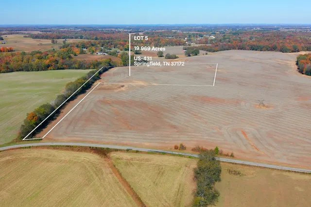 a view of a lake with a city