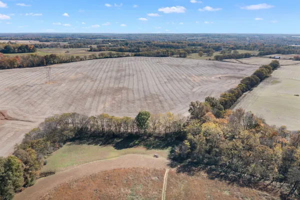 a view of a dry yard