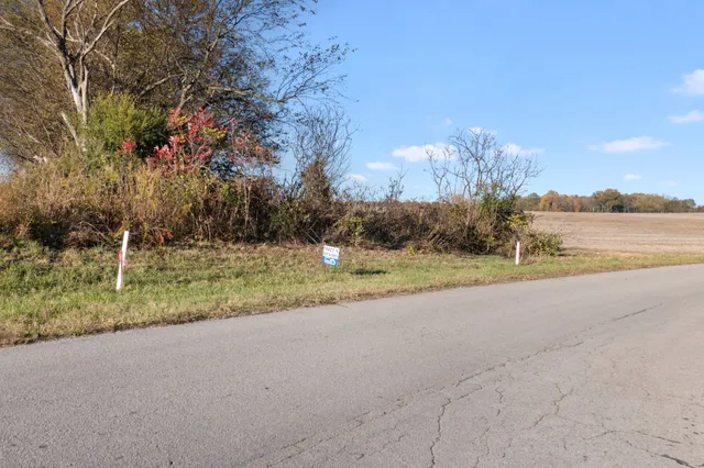 a view of a house with a yard and a large tree