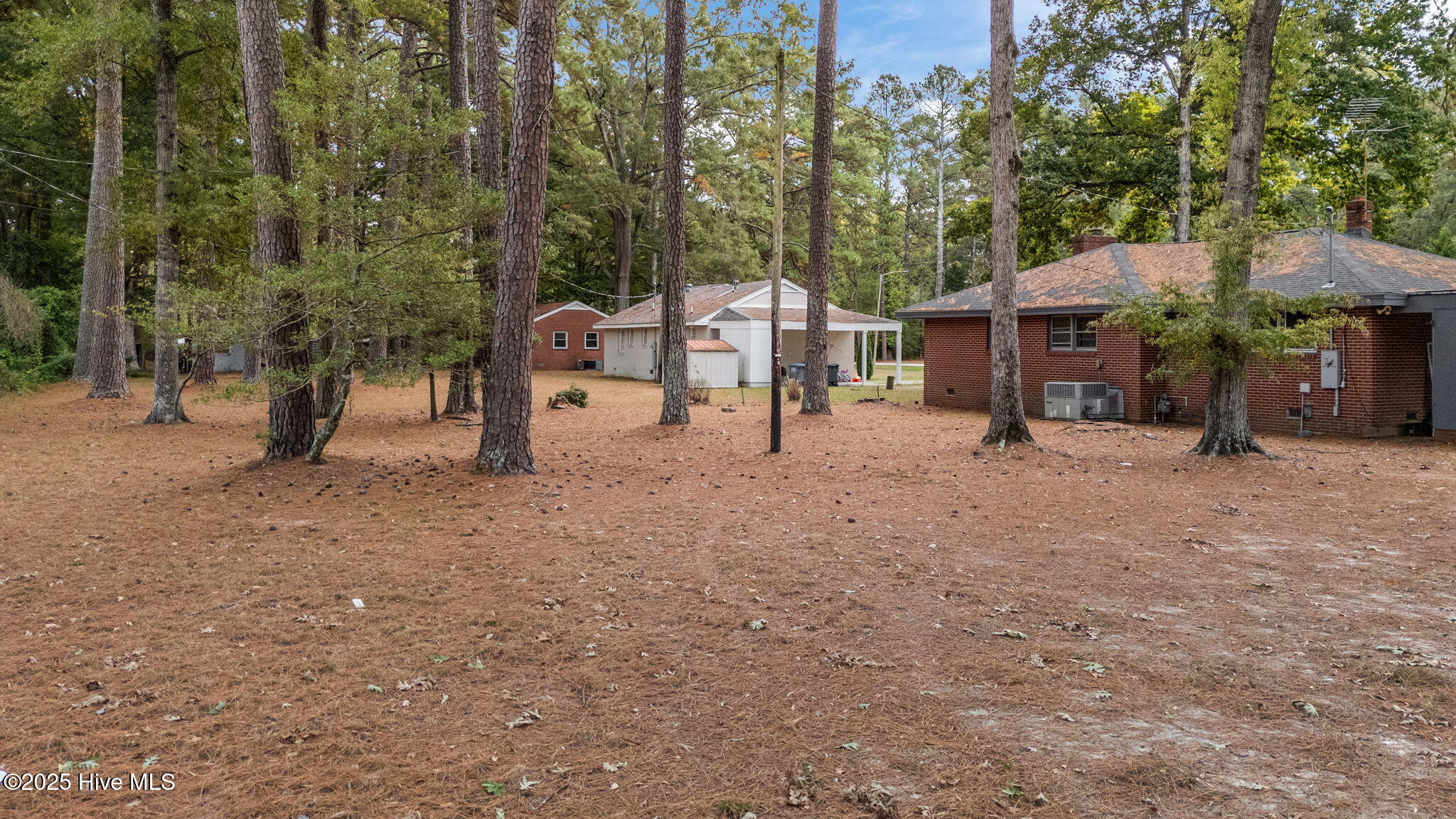 100 Crestview Road Rocky Mount, NC 27801 - Photo 27 of 31 Back Yard