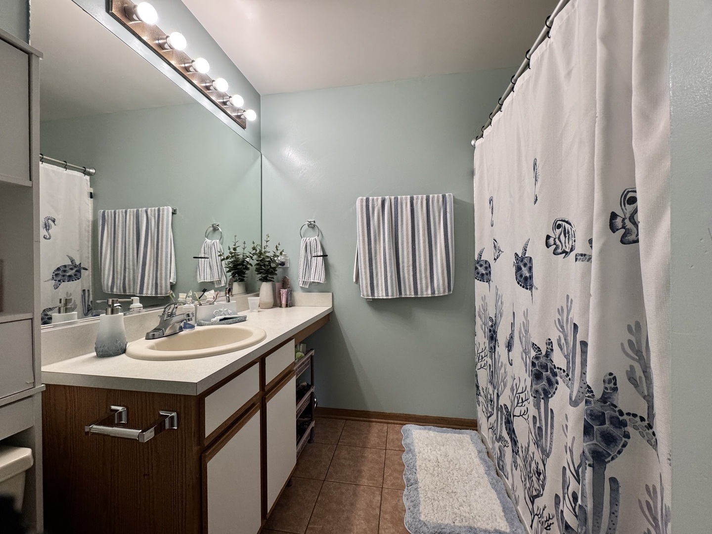 161 Mountain Laurel Court Romeoville, IL 60446 - Photo 16 of 20