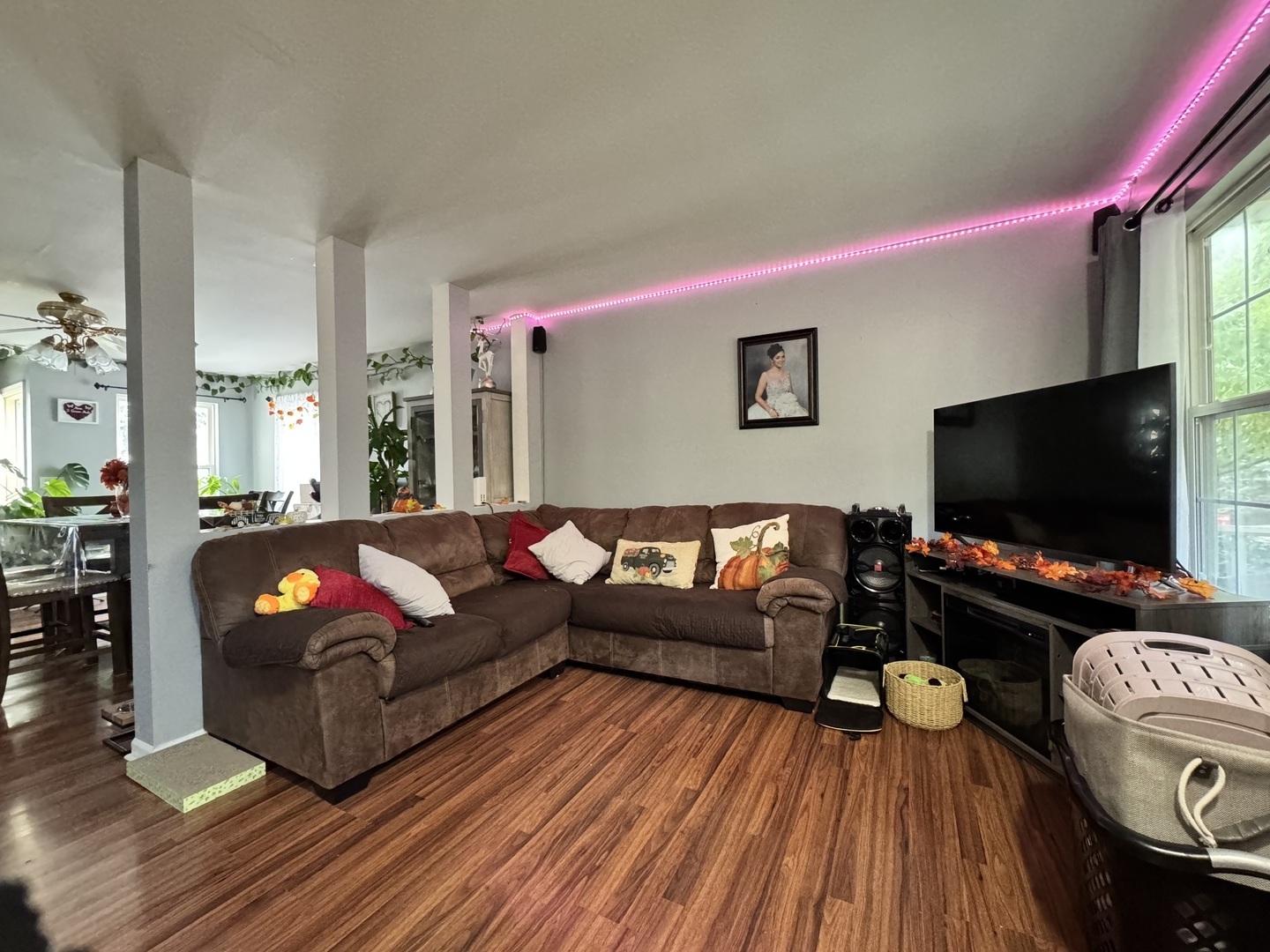 161 Mountain Laurel Court Romeoville, IL 60446 - Photo 3 of 20