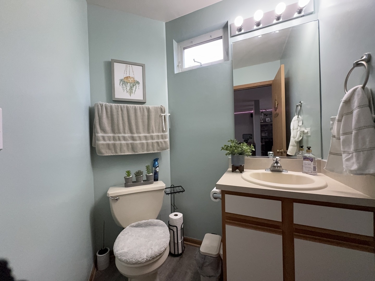 161 Mountain Laurel Court Romeoville, IL 60446 - Photo 5 of 20