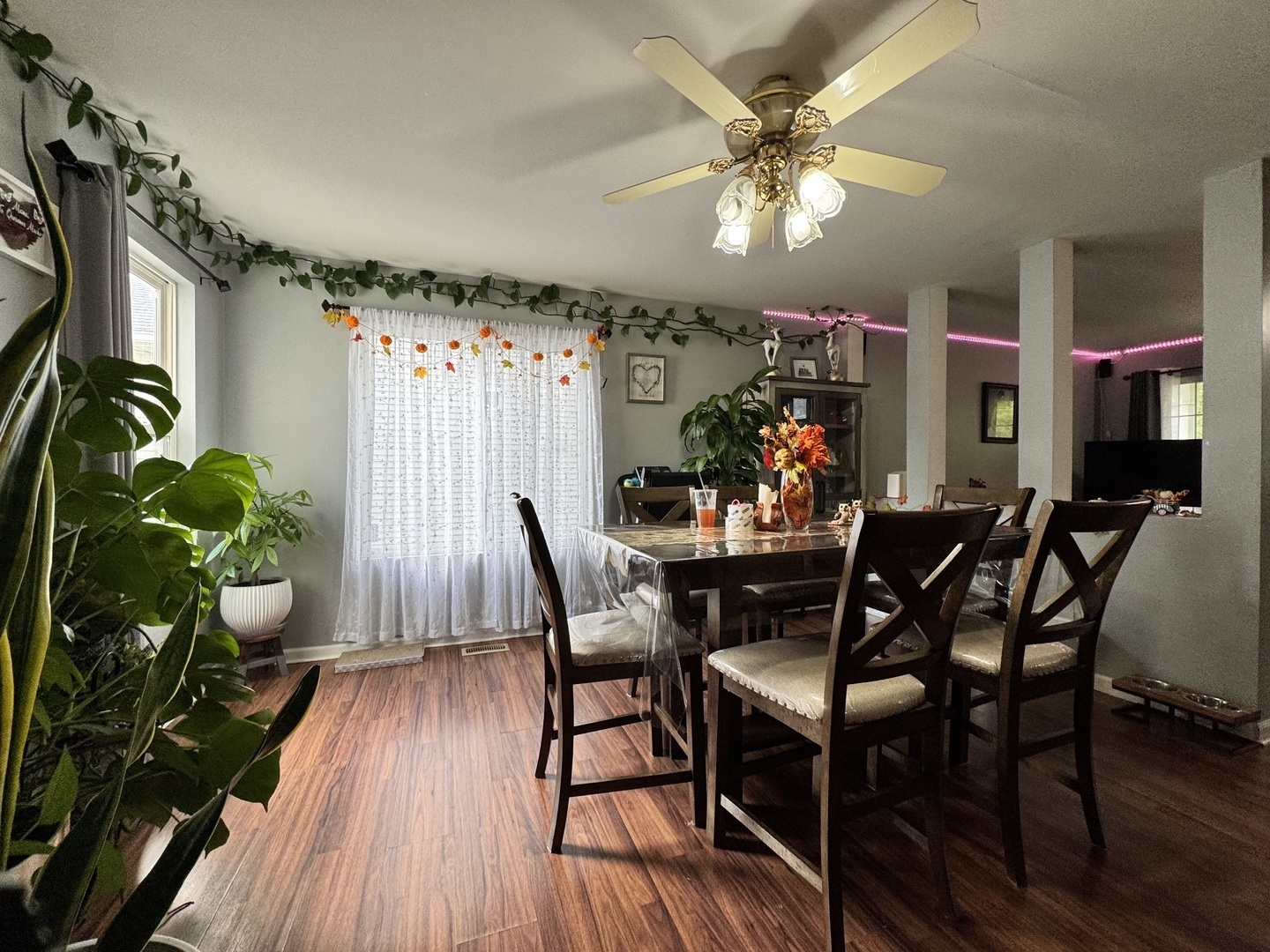 161 Mountain Laurel Court Romeoville, IL 60446 - Photo 7 of 20