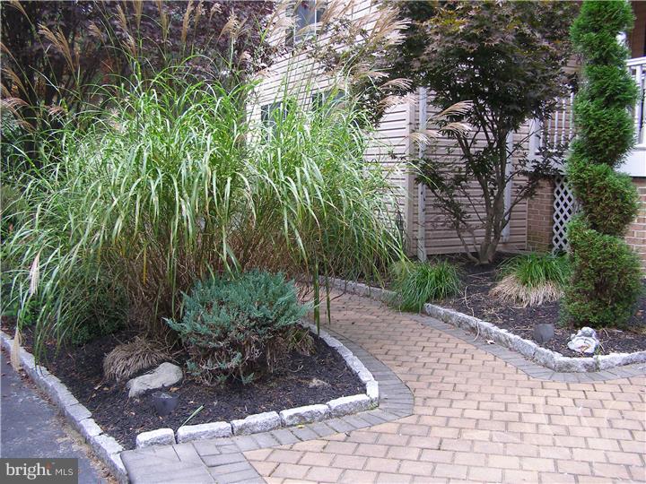211 Friendship Road Southampton, NJ 08088 - Photo 23 of 23 Front Yard