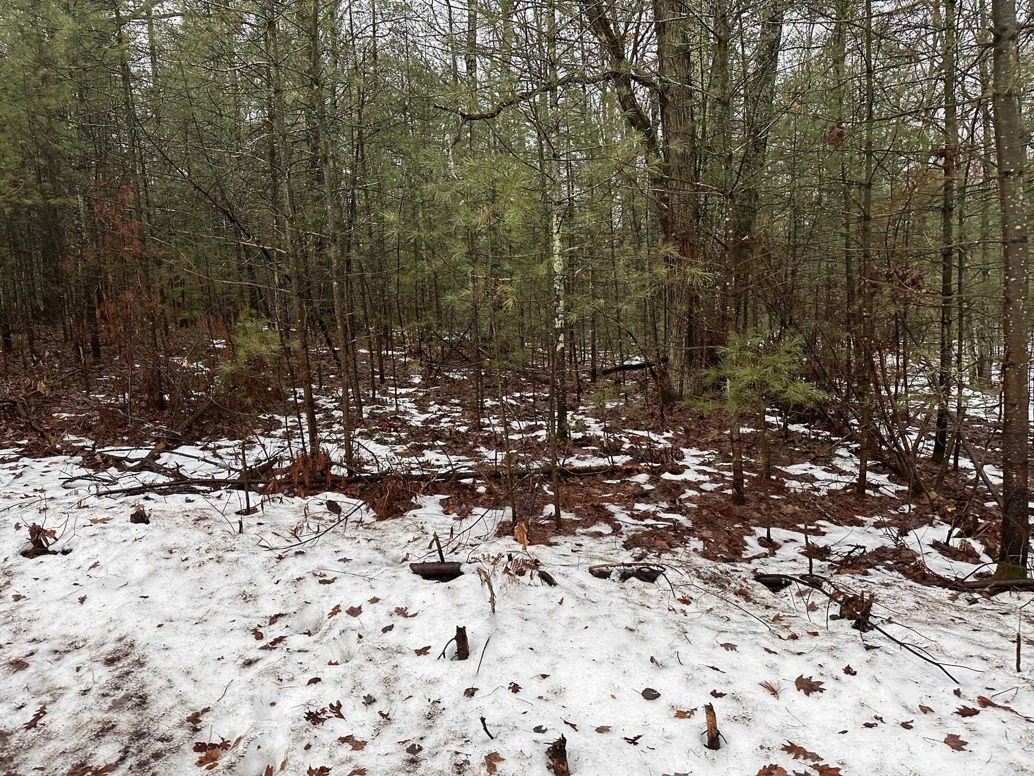 A Albrecht Road Interlochen, MI 49643 - Photo 3 of 5