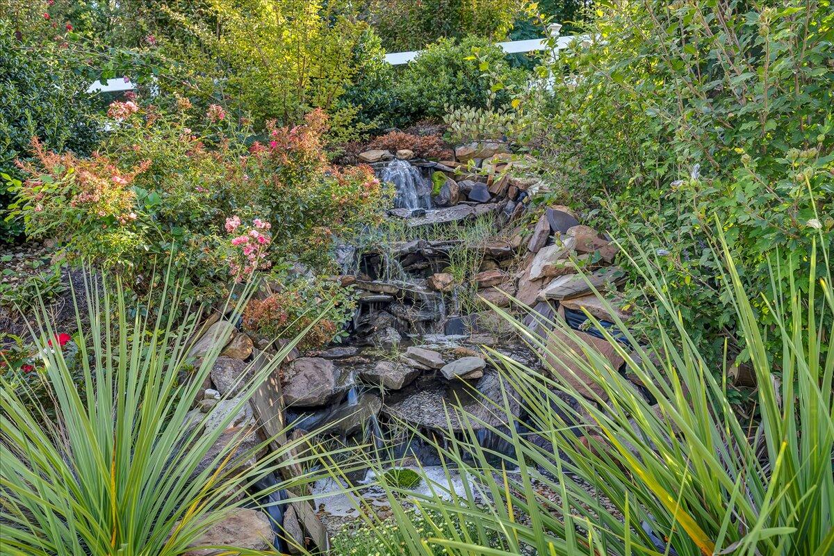 532 Ray Street Roanoke, VA 24019 - Photo 34 of 38 a view of a garden with plants