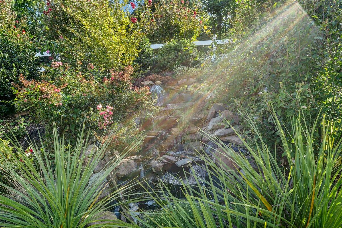 532 Ray Street Roanoke, VA 24019 - Photo 36 of 38 a backyard of a house with lots of green space and a fountain