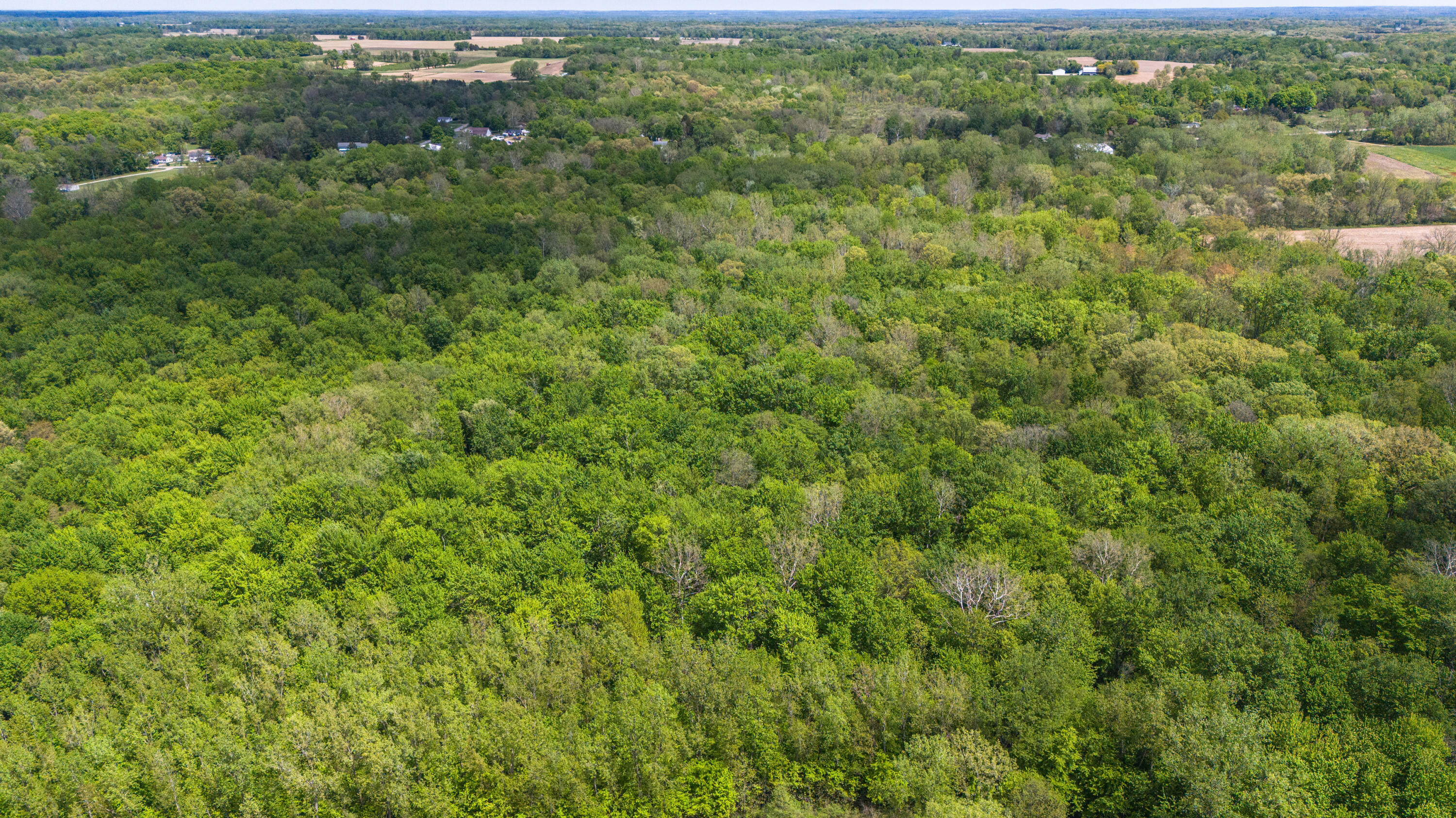 V/l Snyder Road Berrien Springs, MI 49103 - Photo 4 of 15 DJI_20240506144653_0039_D