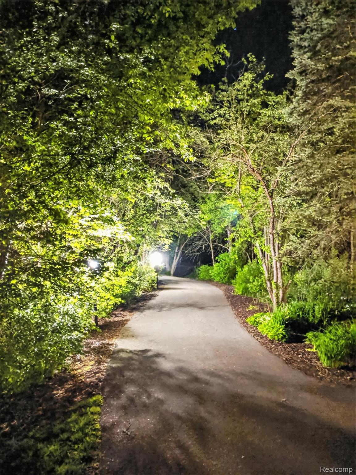 7186 East River Road Flushing, MI 48433 - Photo 43 of 47 81-7186-E-River-Rd-driveway-night.jpg