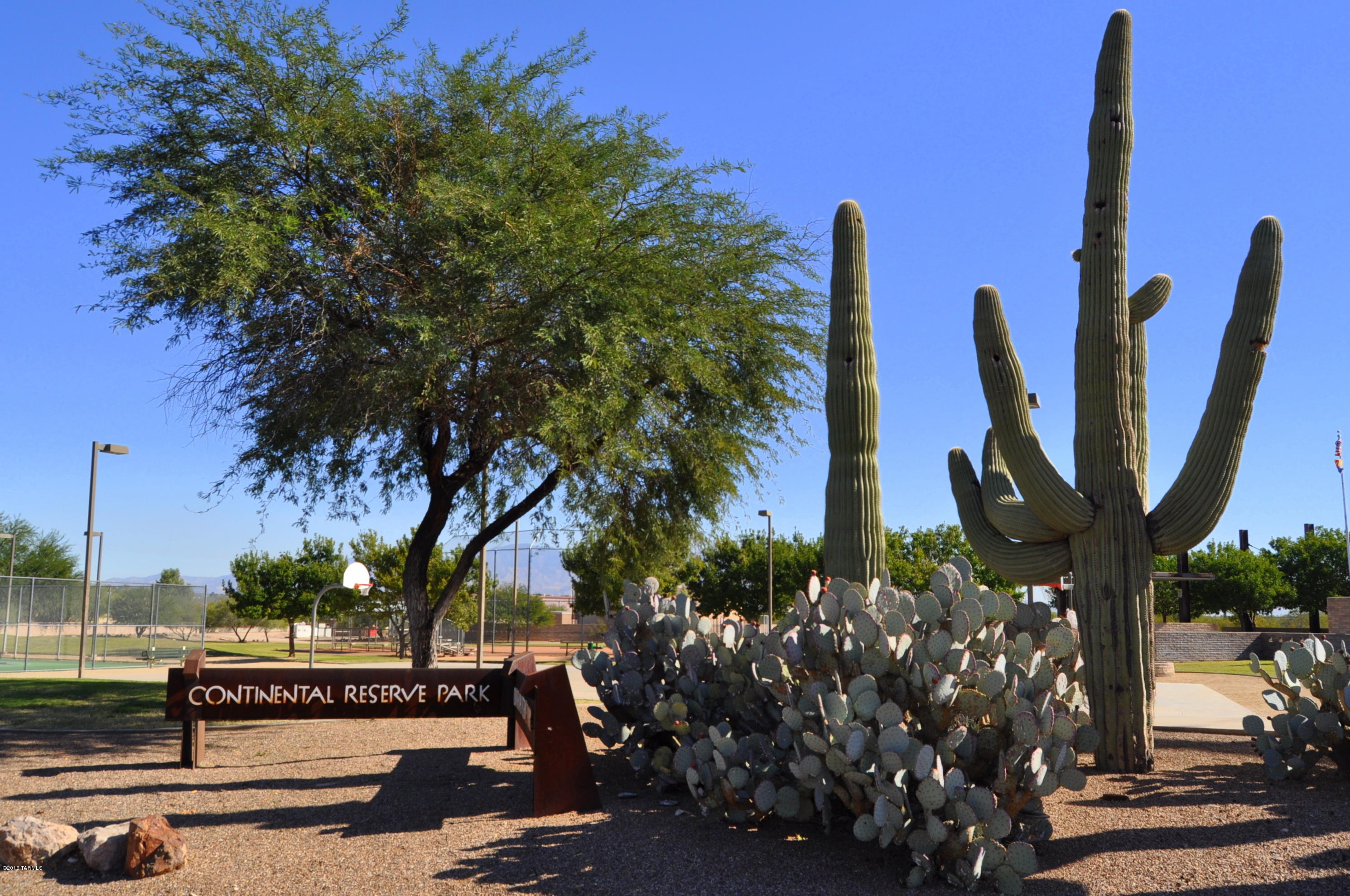 7154 West Oracle Ridge Trail Tucson, AZ 85743 - Photo 15 of 50