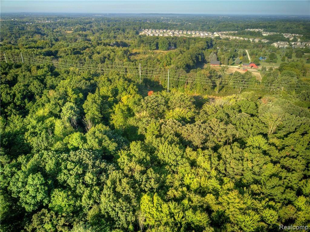 525 Gulley Road Howell, MI 48843 - Photo 80 of 83 DJI_0415.jpg