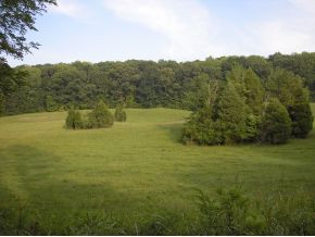Lot 4 Happy Valley Road, Unit 4 Limestone, TN 37681 - Photo 1 of 1 Photo 1