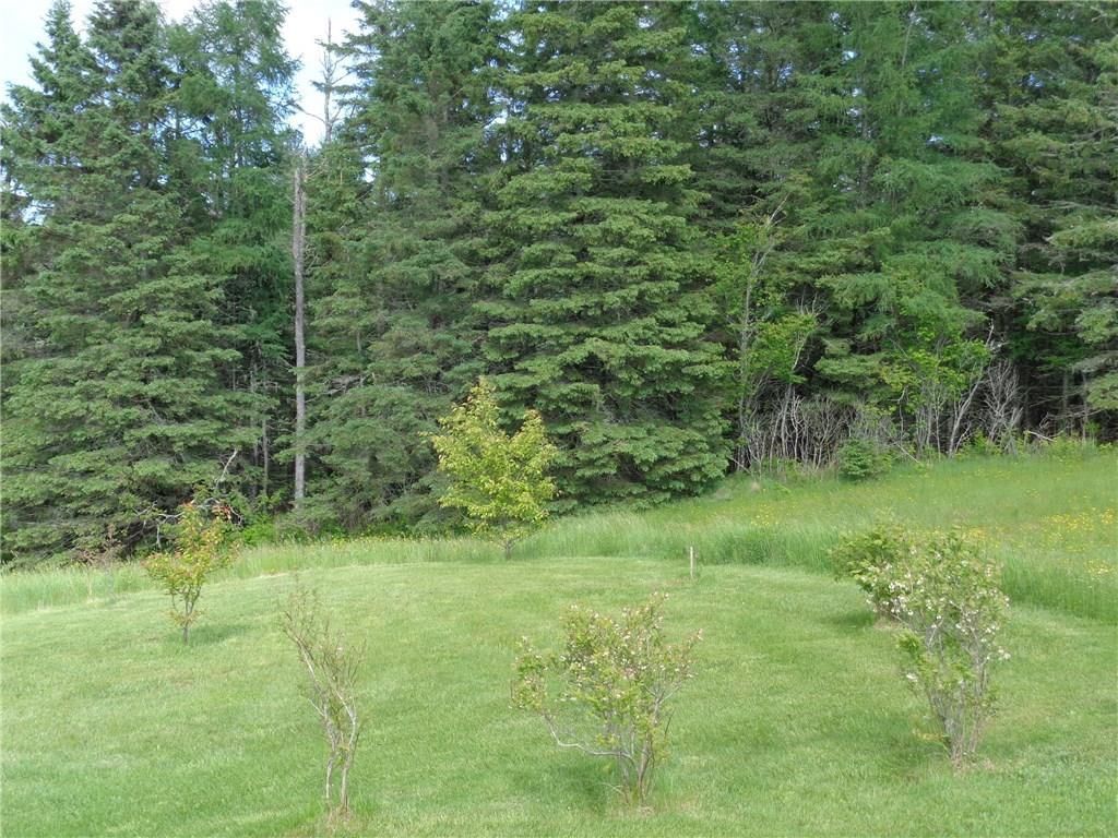 353 Mill River Road Harrington, ME 04643 - Photo 14 of 35 High bush blueberry & cranberry