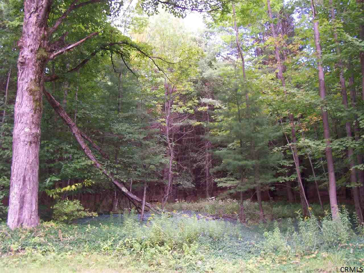 311 Miner Road Greenfield, NY 12859 - Photo 1 of 6 Photo 1