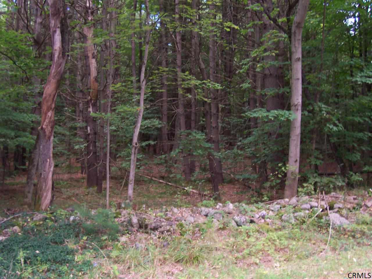 311 Miner Road Greenfield, NY 12859 - Photo 2 of 6 Photo 2